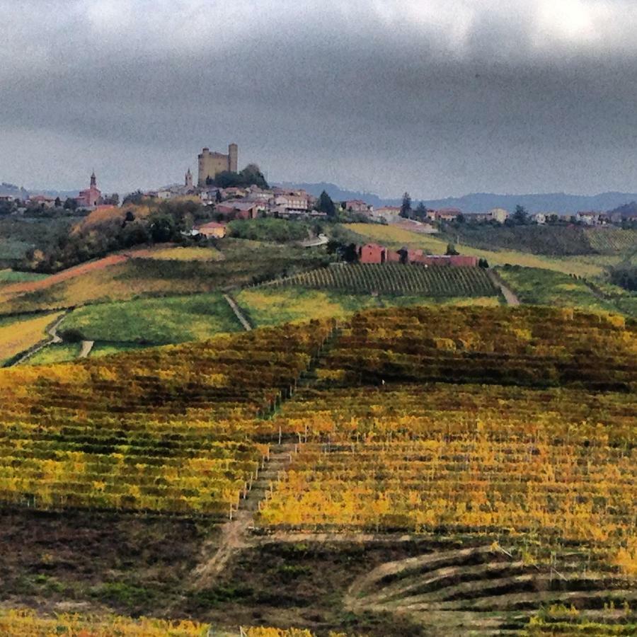 Cascina Maina Villa Diano dʼAlba Екстериор снимка