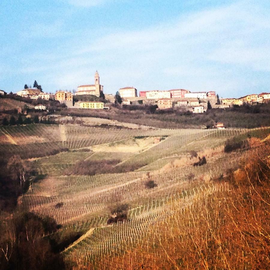 Cascina Maina Villa Diano dʼAlba Екстериор снимка